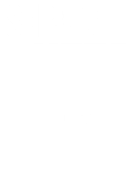 https://d1w8c6s6gmwlek.cloudfront.net/worldclasscitytees.com/overlays/353/251/35325191.png img