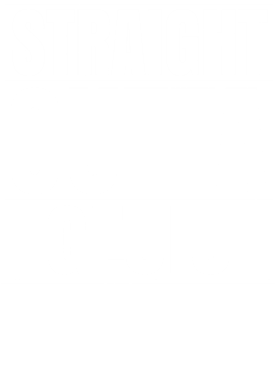 https://d1w8c6s6gmwlek.cloudfront.net/worldclasscitytees.com/overlays/353/252/35325246.png img