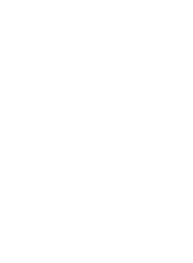 https://d1w8c6s6gmwlek.cloudfront.net/worldclasscitytees.com/overlays/353/252/35325294.png img