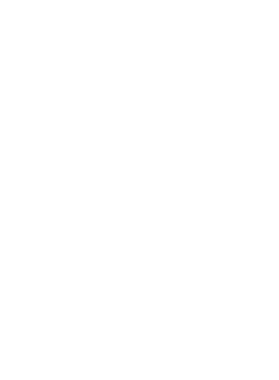 https://d1w8c6s6gmwlek.cloudfront.net/worldclasscitytees.com/overlays/353/253/35325311.png img