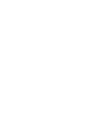 https://d1w8c6s6gmwlek.cloudfront.net/worldclasscitytees.com/overlays/353/253/35325339.png img