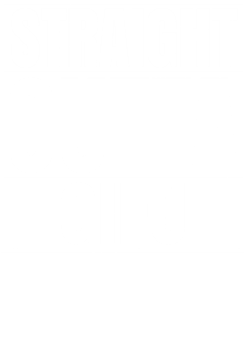 https://d1w8c6s6gmwlek.cloudfront.net/worldclasscitytees.com/overlays/353/253/35325352.png img