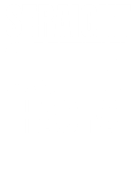 https://d1w8c6s6gmwlek.cloudfront.net/worldclasscitytees.com/overlays/353/261/35326125.png img