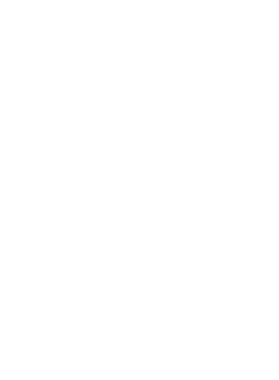 https://d1w8c6s6gmwlek.cloudfront.net/worldclasscitytees.com/overlays/353/262/35326235.png img
