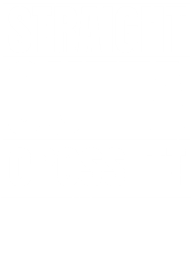 https://d1w8c6s6gmwlek.cloudfront.net/worldclasscitytees.com/overlays/353/265/35326550.png img