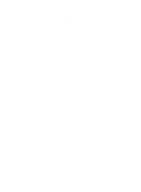 https://d1w8c6s6gmwlek.cloudfront.net/worldclasscitytees.com/overlays/353/266/35326685.png img