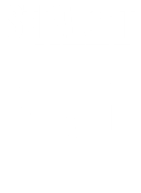 https://d1w8c6s6gmwlek.cloudfront.net/worldclasscitytees.com/overlays/353/292/35329261.png img