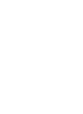 https://d1w8c6s6gmwlek.cloudfront.net/worldclasscitytees.com/overlays/353/344/35334481.png img