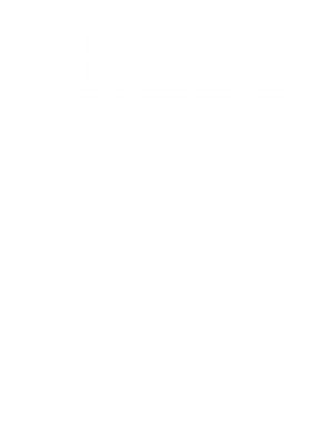 https://d1w8c6s6gmwlek.cloudfront.net/worldclasscitytees.com/overlays/353/707/35370758.png img