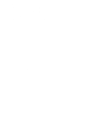 https://d1w8c6s6gmwlek.cloudfront.net/worldclasscitytees.com/overlays/353/711/35371131.png img