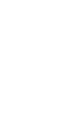 https://d1w8c6s6gmwlek.cloudfront.net/worldclasscitytees.com/overlays/353/735/35373509.png img