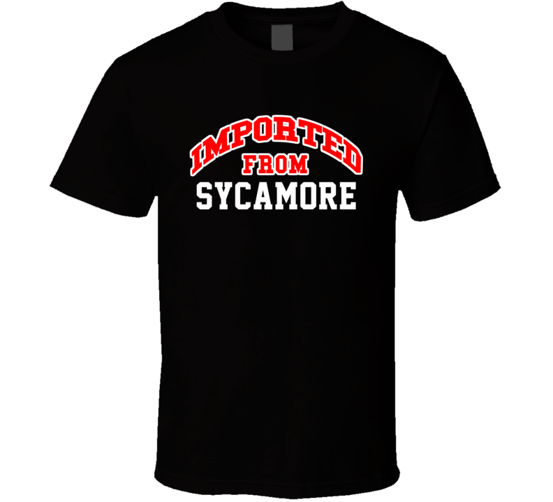 Sycamore Alabama Imported From Cool Funny City T Shirt