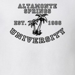 32905873