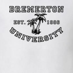 32906432