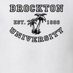32906447