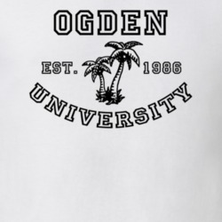 32911064