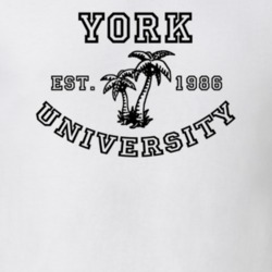 32913104