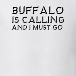 32923941