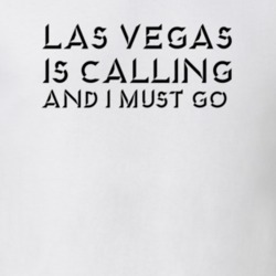 32925529
