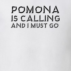 32926635