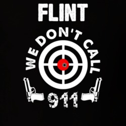 32953518