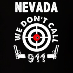 32954047