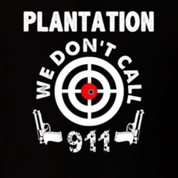 32954232