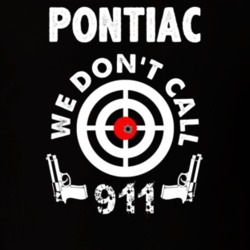 32954238