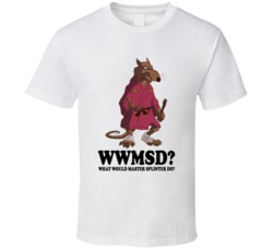 What Would Master Splinter Do Wwjd Tmnt Ninja Turtles Cartoon Character Fan T Shirt 38839657