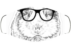 Guinea  Face Mask Cover