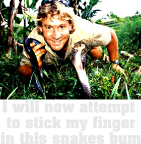 Funny Steve Irwin T Shirt