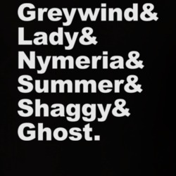 A Game Of Thrones Dire Wolves Names T Shirt 87811