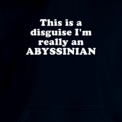 This Is A Disguise I'm Really An Abyssinian Funny Animal Hooded Pullover 18413031
