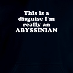 This Is A Disguise I'm Really An Abyssinian Funny Animal Hooded Pullover 18413056