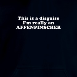 This Is A Disguise I'm Really An Affenpinscher Funny Animal Hooded Pullover 18413059