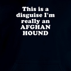 This Is A Disguise I'm Really An Afghan Hound Funny Animal Hooded Pullover 18413061