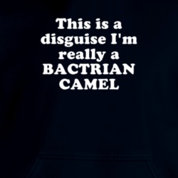This Is A Disguise I'm Really A Bactrian Camel Funny Animal Hooded Pullover 18413072
