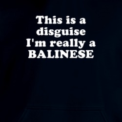 This Is A Disguise I'm Really A Balinese Funny Animal Hooded Pullover 18413079
