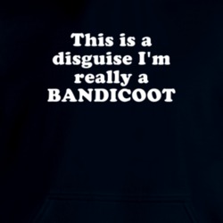 This Is A Disguise I'm Really A Bandicoot Funny Animal Hooded Pullover 18413083