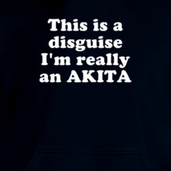 This Is A Disguise I'm Really An Akita Funny Animal Hooded Pullover 18413085