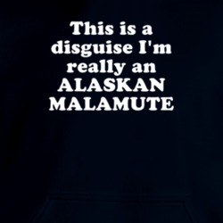 This Is A Disguise I'm Really An Alaskan Malamute Funny Animal Hooded Pullover 18413087