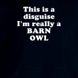 This Is A Disguise I'm Really A Barn Owl Funny Animal Hooded Pullover 18413089