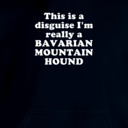 This Is A Disguise I'm Really A Bavarian Mountain Hound Funny Animal Hooded Pullover 18413106