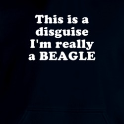 This Is A Disguise I'm Really A Beagle Funny Animal Hooded Pullover 18413109