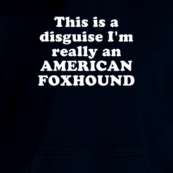 This Is A Disguise I'm Really An American Foxhound Funny Animal Hooded Pullover 18413110