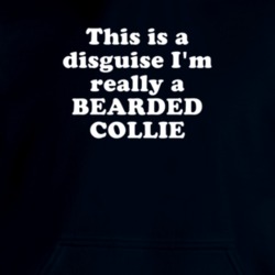 This Is A Disguise I'm Really A Bearded Collie Funny Animal Hooded Pullover 18413114