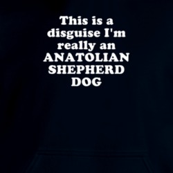 This Is A Disguise I'm Really An Anatolian Shepherd Dog Funny Animal Hooded Pullover 18413120