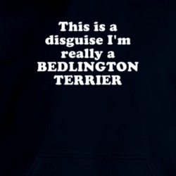 This Is A Disguise I'm Really A Bedlington Terrier Funny Animal Hooded Pullover 18413121