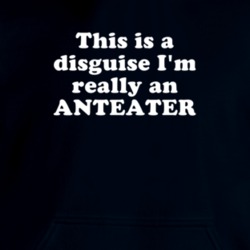 This Is A Disguise I'm Really An Anteater Funny Animal Hooded Pullover 18413127