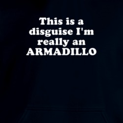 This Is A Disguise I'm Really An Armadillo Funny Animal Hooded Pullover 18413142